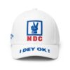 Dr Anthony Fct NDC I Dey Ok Hat 1