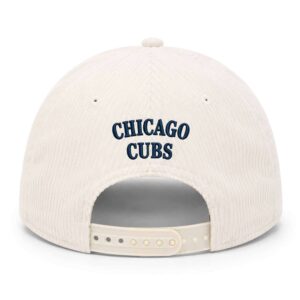 2026 Cubs University Of Michigan Hat Giveaway