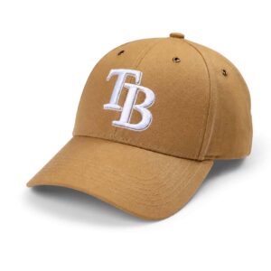 2026 TB Rays Workforce Appreciation Hat Giveaway