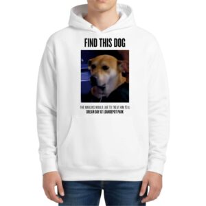 Find This Dog Marlins Dream Day At Loandepot Park Hoodie