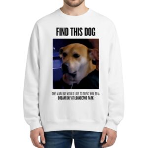 Find This Dog Marlins Dream Day At Loandepot Park Sweatshirt